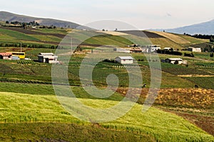 Beautiful crop field plantations in Oyacachi