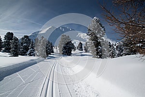 Beautiful cross country ski track in italian alps with epic mountain scenery