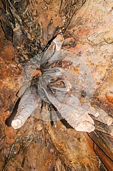 Beautiful crystalline formations in the cave created by nature over the years