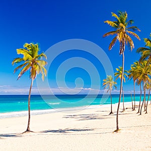 The beautiful cuban beach of Varadero