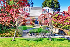 Beautiful curb appeal of brick house with well kept lawn and red trees in the front garden.