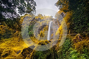 Beautiful `Curug Sewu` waterfall in the tropical forests of the Bruno region, Purworejo, Indonesia