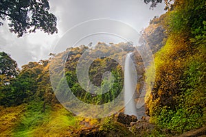 Beautiful `Curug Sewu` waterfall in the tropical forests of the Bruno region, Purworejo, Indonesia