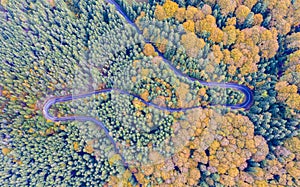 Beautiful curvy road in forest