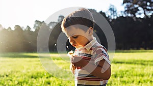 Beautiful cute boy in park blowing on dandelion in summer time at the sunset.