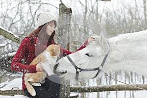 Beautiful cute girl with white horse and big fluffy cat in winter snowy park. Pretty girl caress white horse. Portrait of girl and