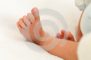 Beautiful cute newborn baby feet on a white background