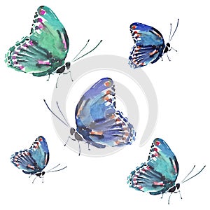 Beautiful cute sophisticated magnificent wonderful tender gentle spring colorful butterflies pattern watercolor