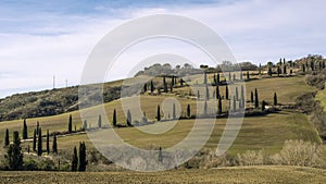 Beautiful cypress-lined country road in La Foce, Siena, Tuscany, Italy