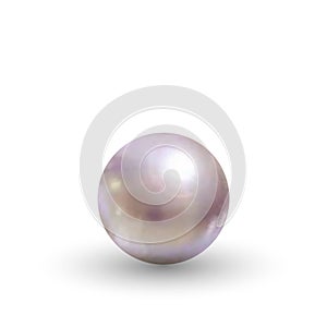 Beautiful 3D Pearl on White Background and Smooth Shadow - 3D Vector Illustration. eps 10