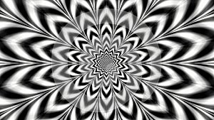 illusion, black, derecho, flower, white, 3d Background wallpaper photo