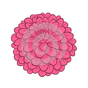 Beautiful Dahlia flower in hand-painted graphic st