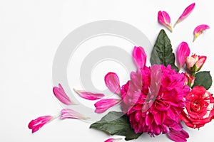 Beautiful dahlia flower and roses on white background, flat lay. Space for text