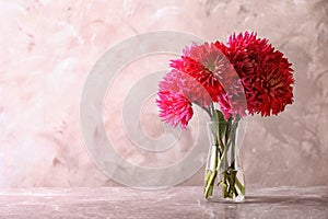 Beautiful dahlia flowers in glass vase on table against color background.