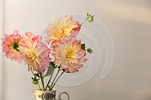 Beautiful dahlia flowers in jug on light background, space for text. Autumn mood