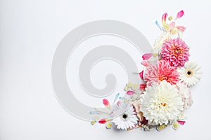 Beautiful dahlia and gerbera flowers on white background, flat lay. Space for text