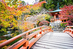 Beautiful Daigoji temple with colorful tree and leaf in autumn season