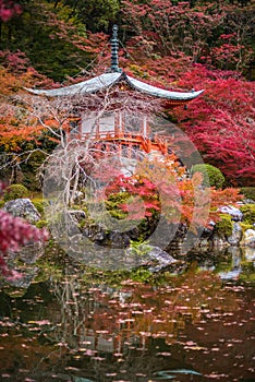 Beautiful Daigoji temple in maple trees, momiji season, Kyoto, Japan photo