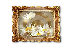 Beautiful daisies in old painting frame