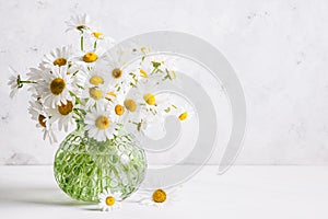 Beautiful daisy flowers in glass vase