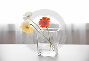 Beautiful daisy flowers in glass vase on table in room