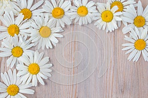 Beautiful Daisy flowers lies on a wooden Board