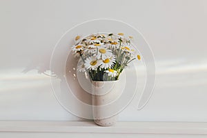 Beautiful daisy flowers in sun ray on white background. Summer vibes, simple home decor. Daisy bouquet in modern ceramic vase in