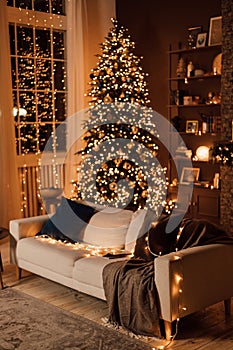 Beautiful dark interior in the living room, white sofa and large Christmas tree