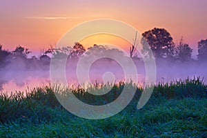 Beautiful dawn Narew River Poland Nature landscape