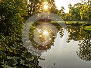 A beautiful dawn with reflection in the water of a forest lake in the city park of Vlaardingen Rotterdam, Netherlands, Holland