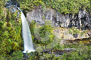 Beautiful Dawson Falls in Egmont National Park, New Zealand