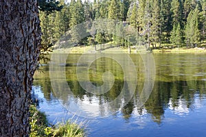 Beautiful Day along Henry`s Fork - Idaho