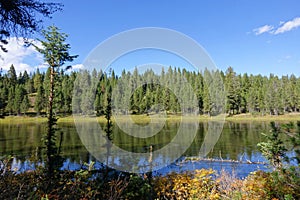 Beautiful Day along Henry`s Fork - Idaho