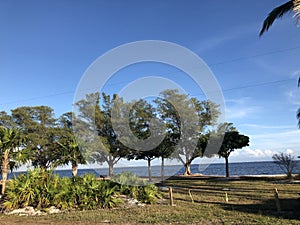 A beautiful day. blue sky photo