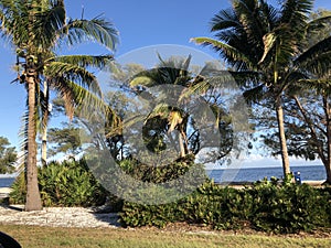 A beautiful day. blue sky photo