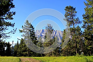 A Beautiful day in Canada - Hiking and exploring in Banff Nationalpark / Tunnel Mountain