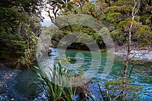 Turquoise Eglinton river, Fiordland National park, New Zealand photo