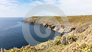 The beautiful green shorelines of Ireland during spring time photo