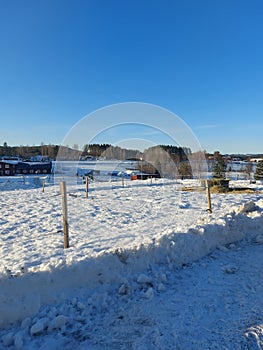 Beautiful day in sweden, snow horse paddocks paddock
