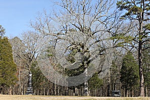 Monuments and stones at the military park at chickamauga photo