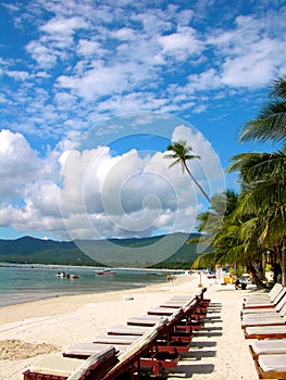 Beautiful day in a tropical resort photo