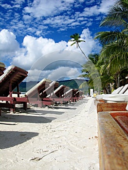 Beautiful day in a tropical resort photo