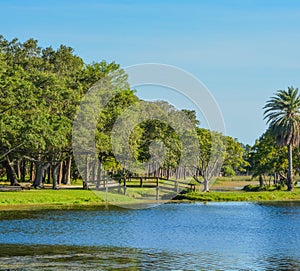 A beautiful day for a walk and the view of the wood bridge to the island at John S. Taylor Park in Largo, Florida.