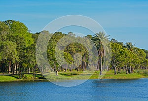 A beautiful day for a walk and the view of the wood bridge to the island at John S. Taylor Park in Largo, Florida.