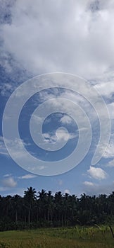 Beautiful days to see the clouds