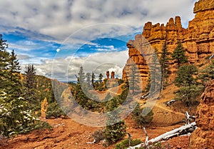 Beautiful daytime view of the Red Canyon in the Dixie National Forest, Utah, USA
