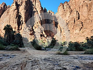 Beautiful daytime view of Wadi Al Disah in Tabuk, Saudi Arabia. photo