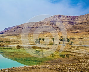 Beautiful Dead sea spa on background