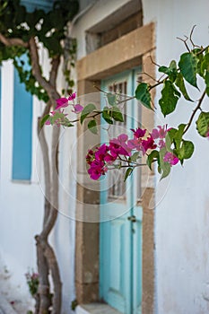 Beautiful decorated buildings with boukamvillea flowers in Chora village in Kythira island , Greece
