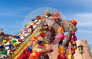 Beautiful decorated Camel at Bikaner camel fesrival in Rajasthan, India